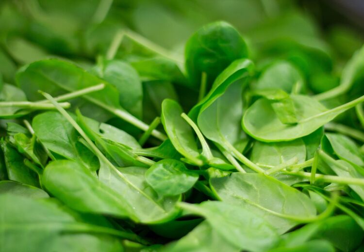 Spinazie moet je altijd goed wassen. Aan verse spinazieblaadjes zit namelijk zand.